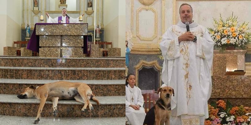 หมาวัดเวอร์ชันคริสต์ บาทหลวงใจดีอนุญาตให้สุนัขจรจัดเข้ามาร่วมพิธีภายใน
